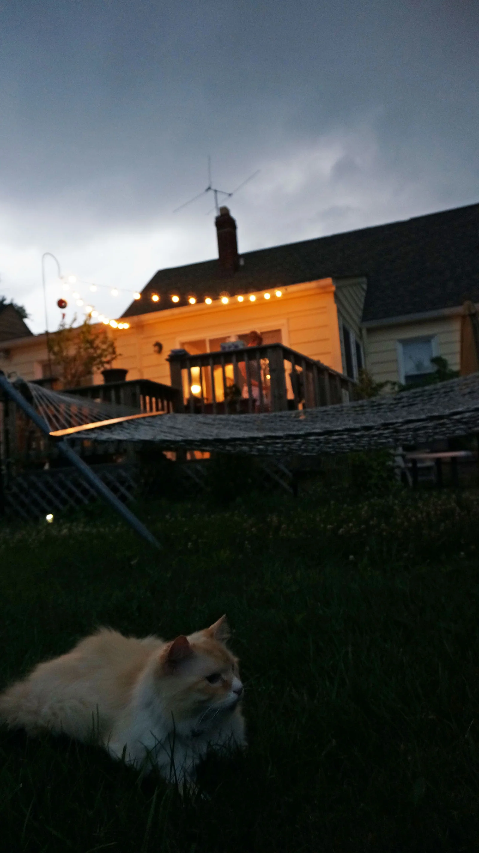 Ape_Bleakney_Suburbia_DSC04308x.jpg