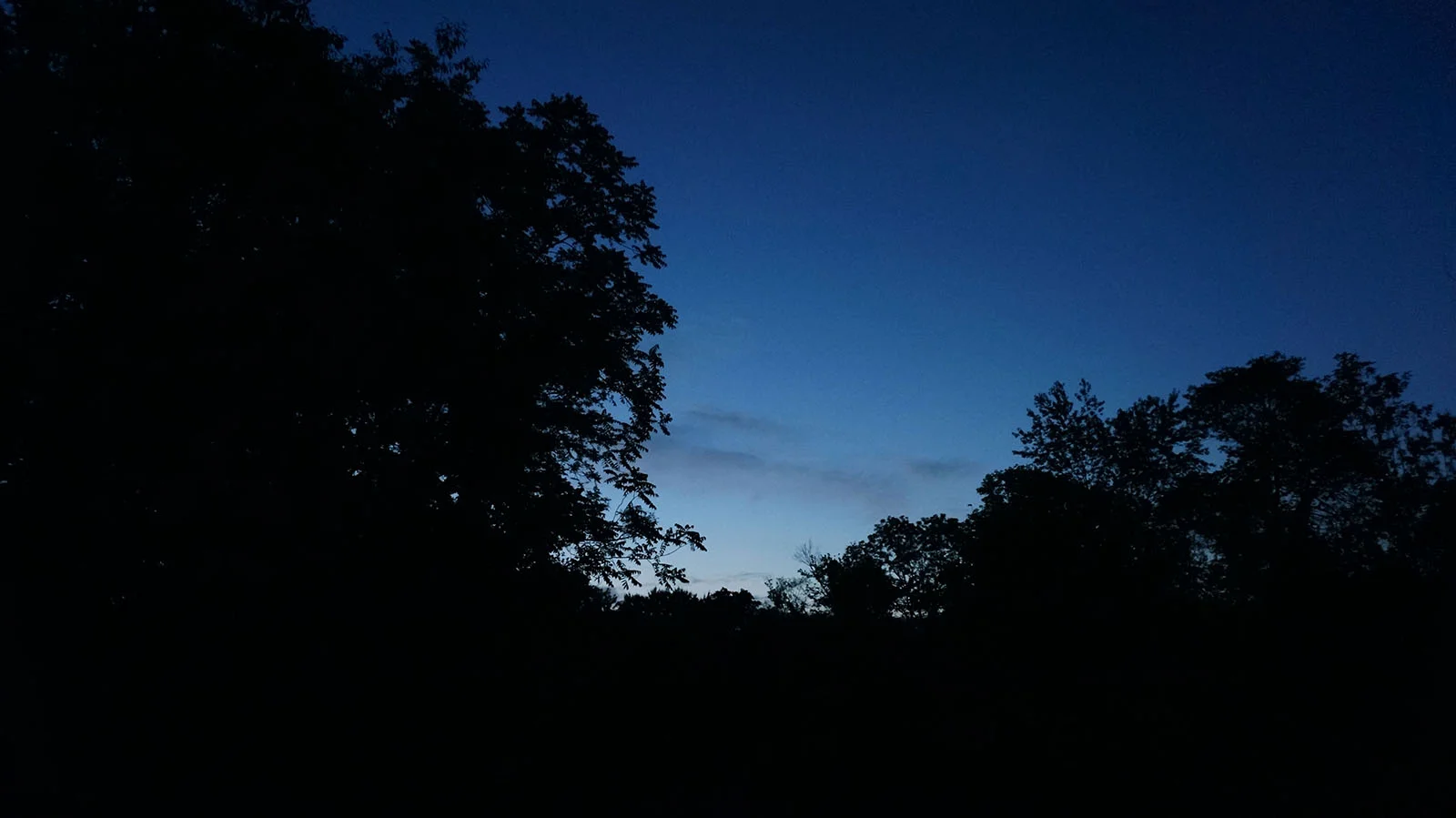 Ape_Bleakney_Rural_DSC08780x.jpg