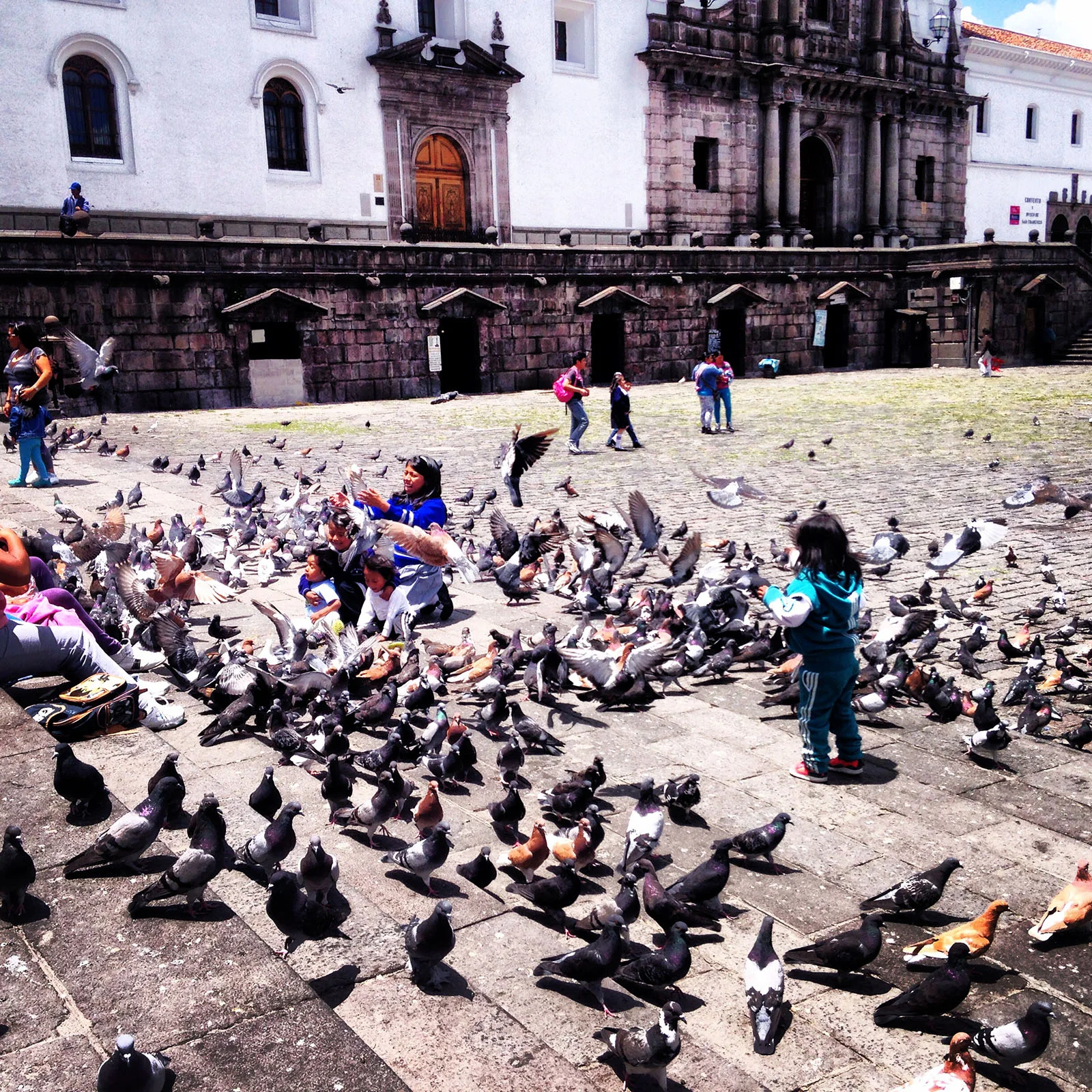 Ape_Bleakney_Quito_IMG_0067x.JPG