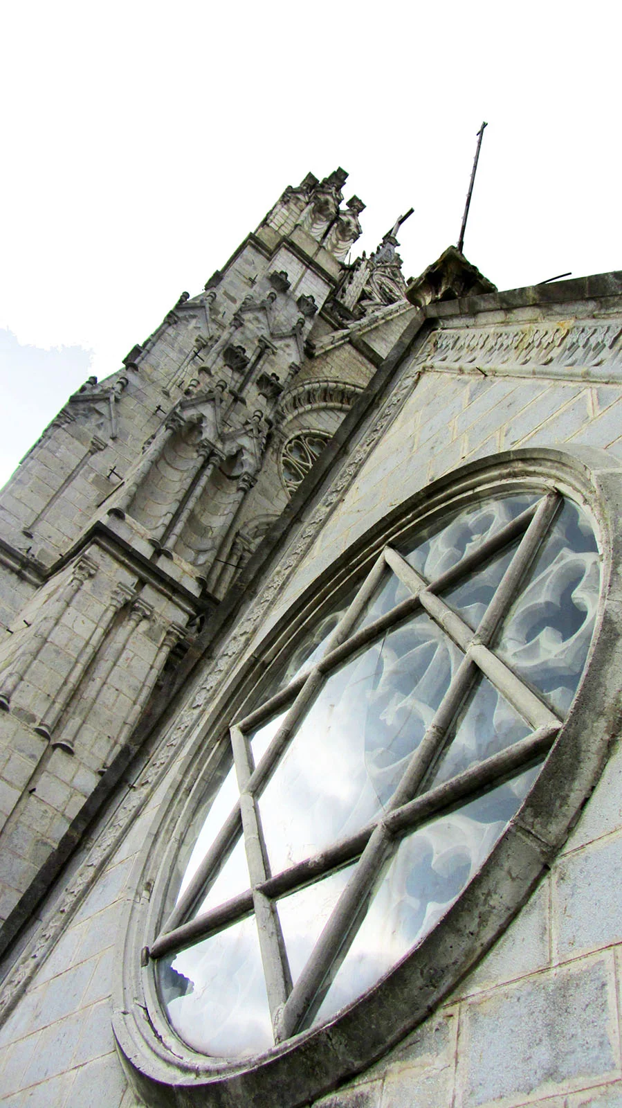 Ape_Bleakney_Quito_IMG_4338x.jpg