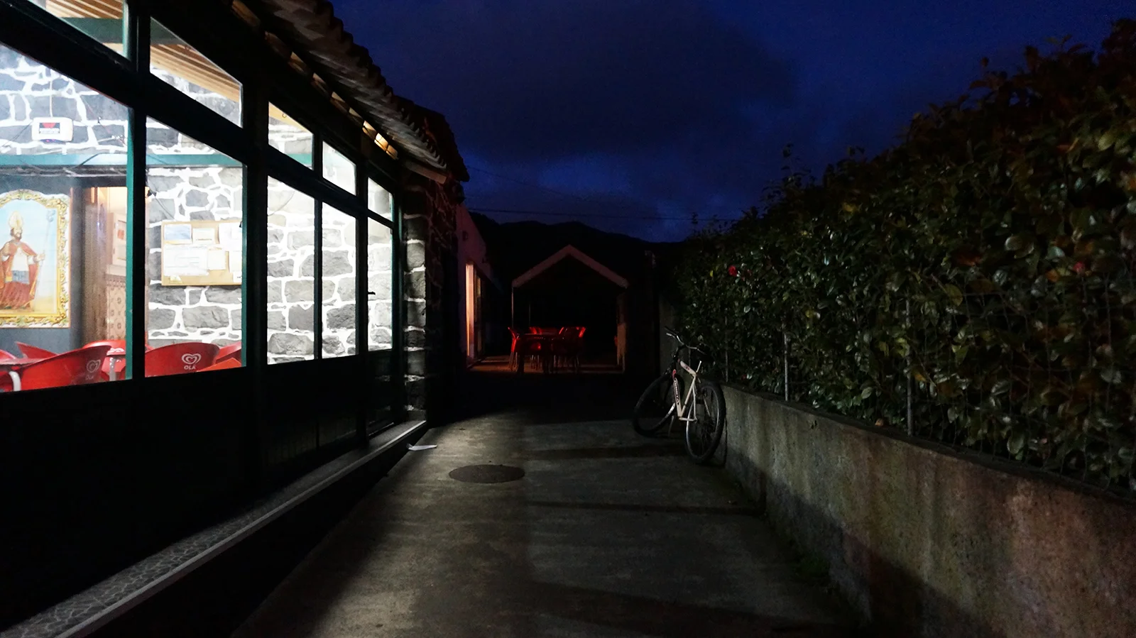 Ape_Bleakney_Azores_DSC03982x.jpg