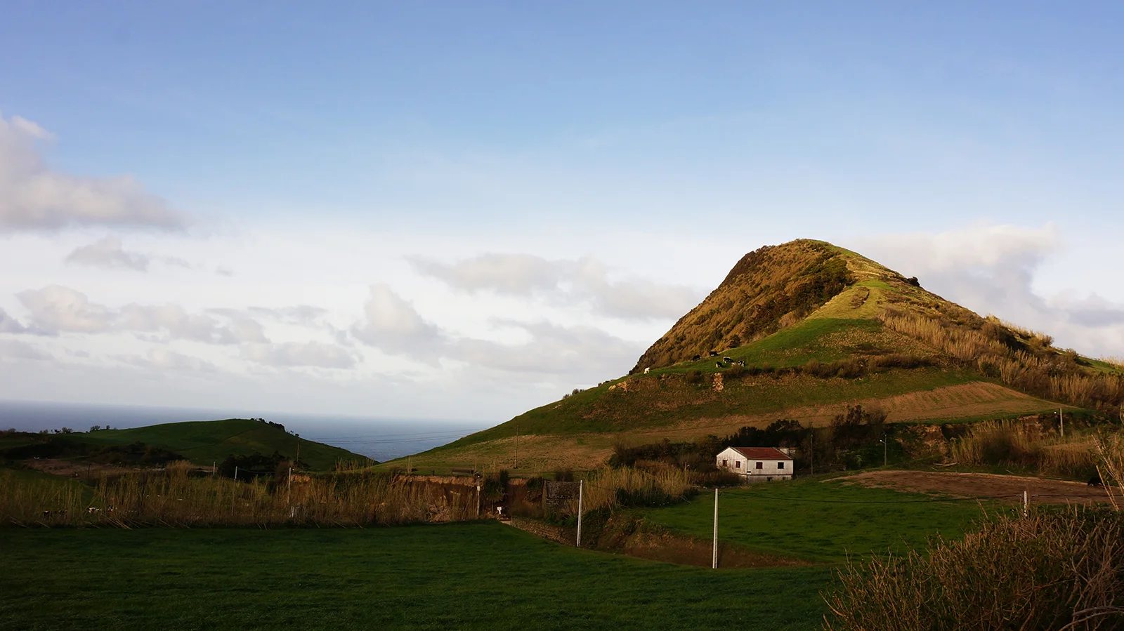 Ape_Bleakney_Azores_DSC03998x.jpg