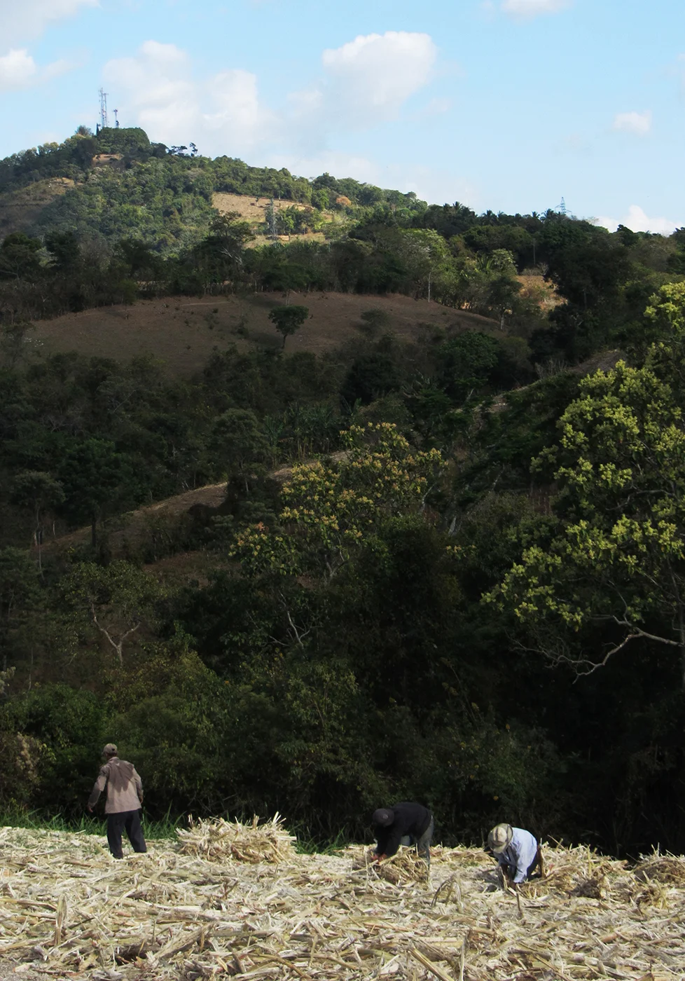 Ape_Bleakney_ElSalvador_IMG_1785x.jpg