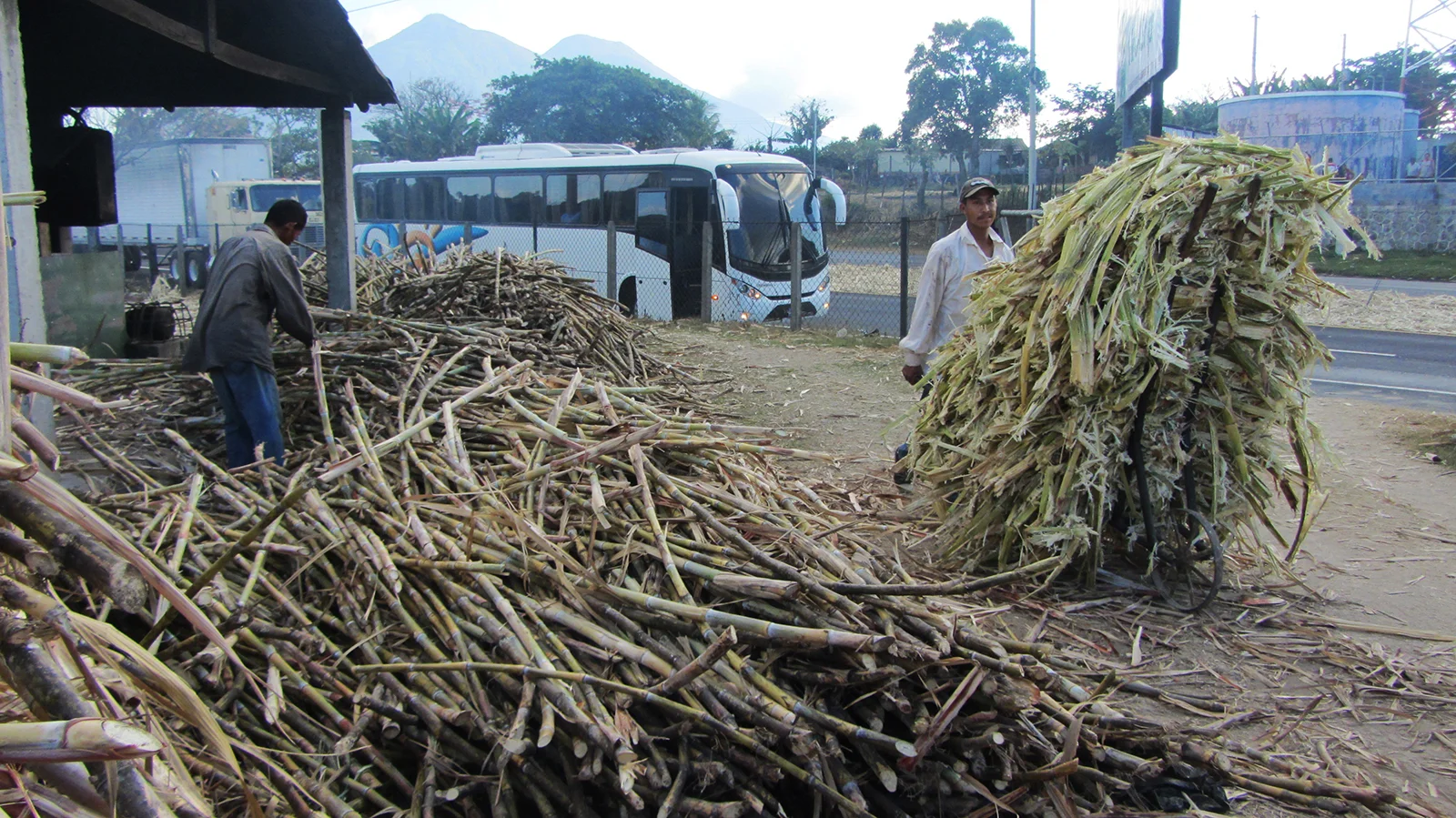 Ape_Bleakney_ElSalvador_IMG_1792x.jpg