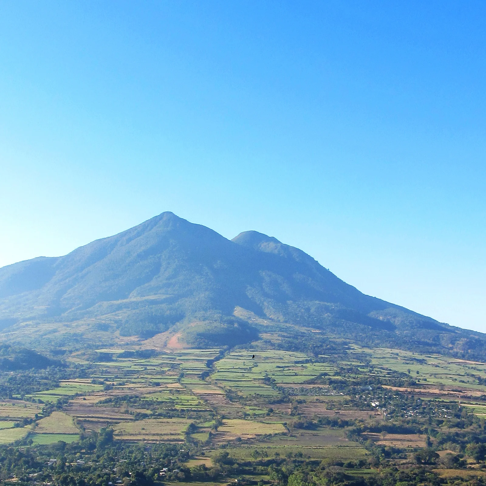 Ape_Bleakney_ElSalvador_IMG_1740x.jpg