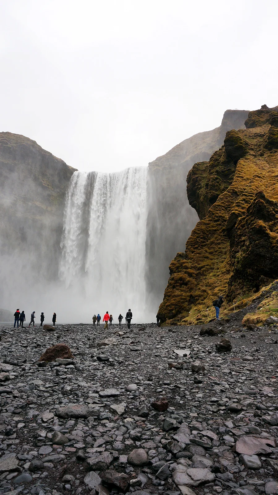 Ape_Bleakney_Iceland_DSC00640x.jpg