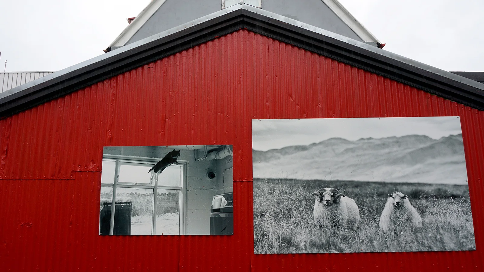 Ape_Bleakney_Iceland_DSC00481x.jpg