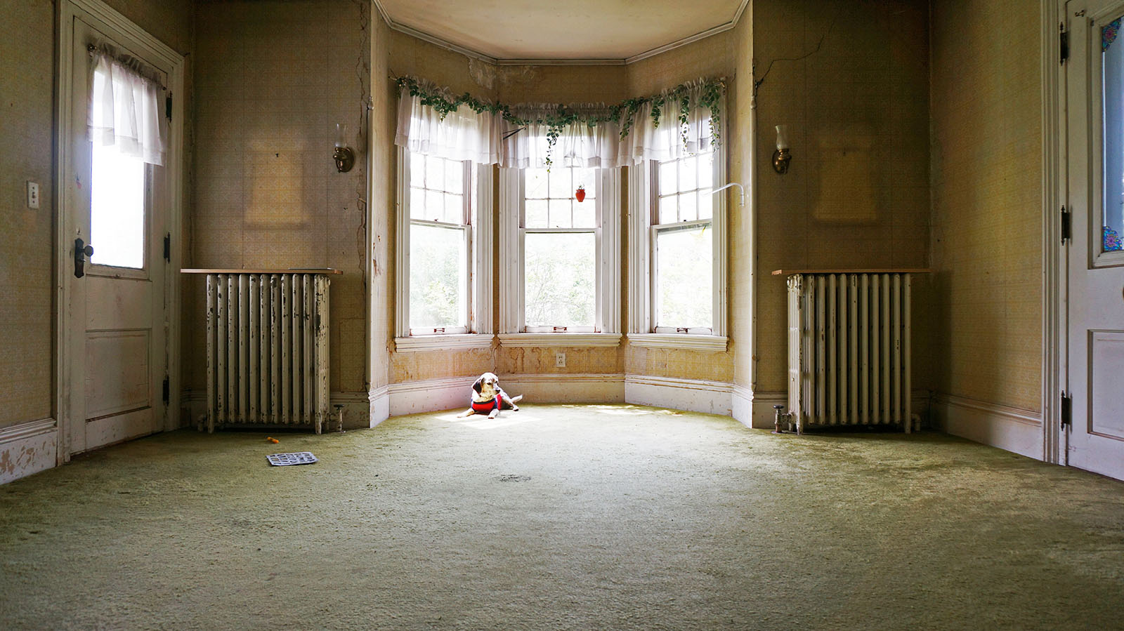 Ape_Bleakney_OfSpaceAndTime_DSC05859x.jpg