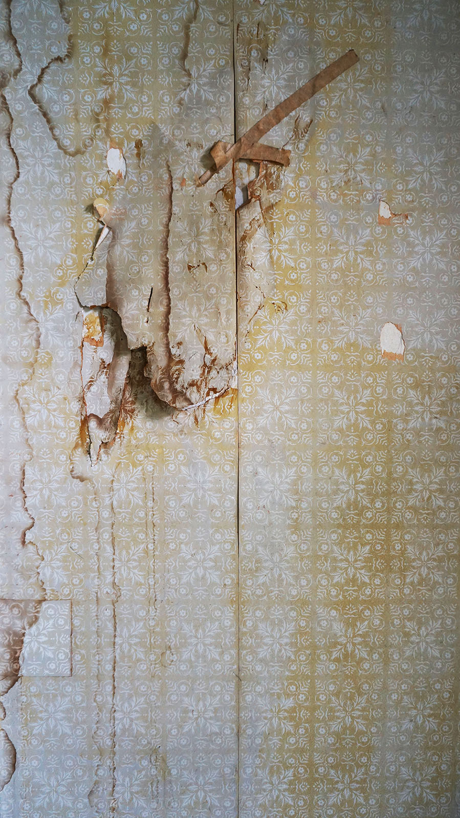 Ape_Bleakney_OfSpaceAndTime_DSC06367x.jpg