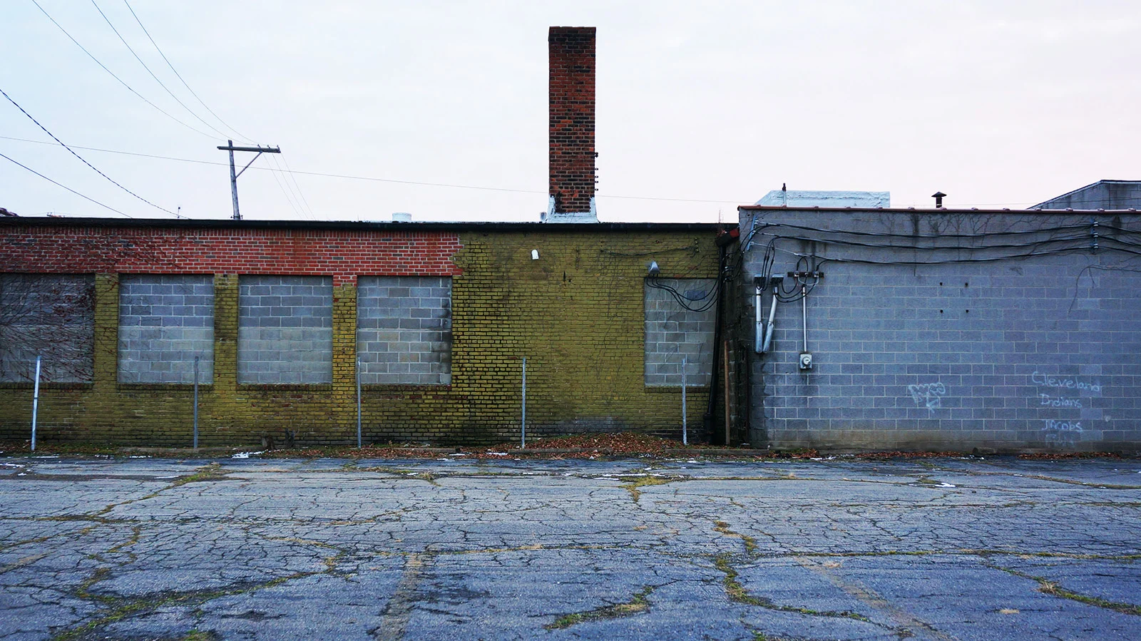 Ape_Bleakney_ClevelandW_DSC03170x.jpg