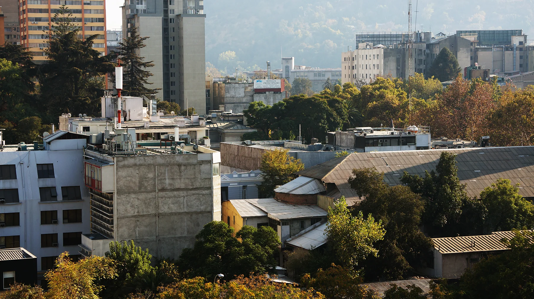 Ape_Bleakney_Chile_DSC03600x.jpg