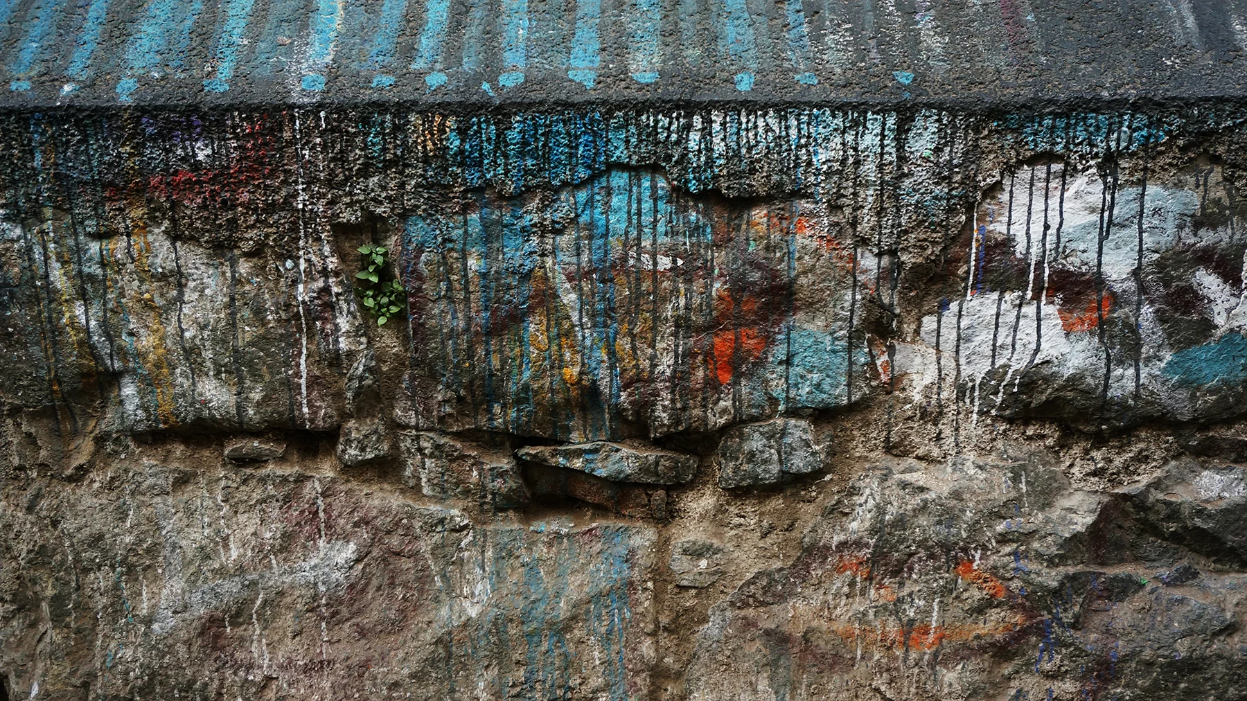 Ape_Bleakney_Chile_DSC04270x.jpg