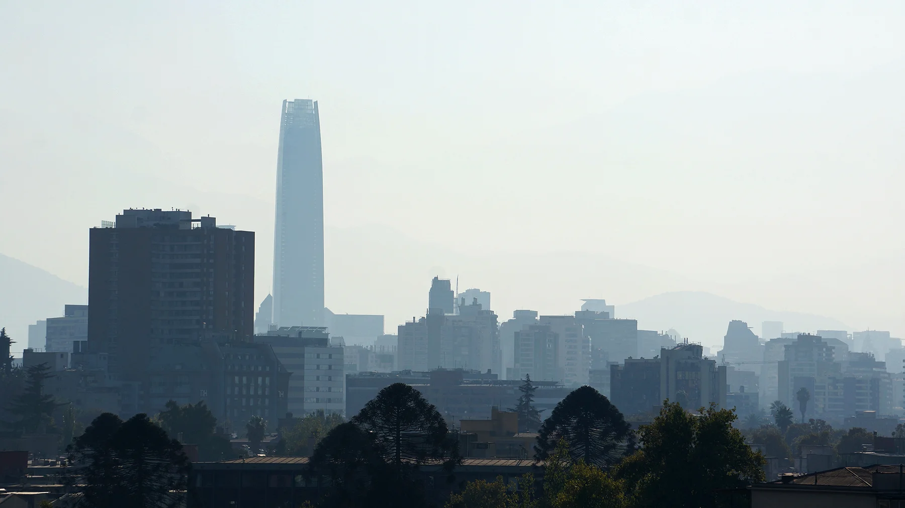 Ape_Bleakney_Chile_DSC03579x.jpg