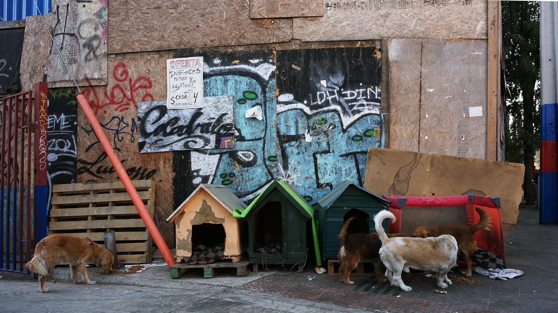 Ape_Bleakney_Chile_DSC03609x.jpg