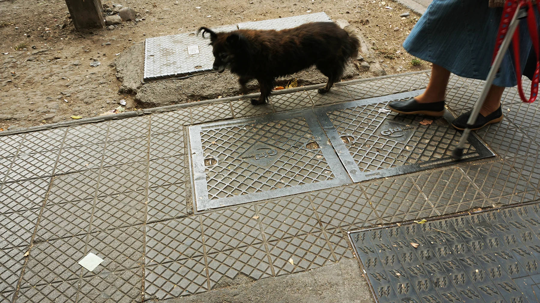 Ape_Bleakney_Chile_DSC03763x.jpg