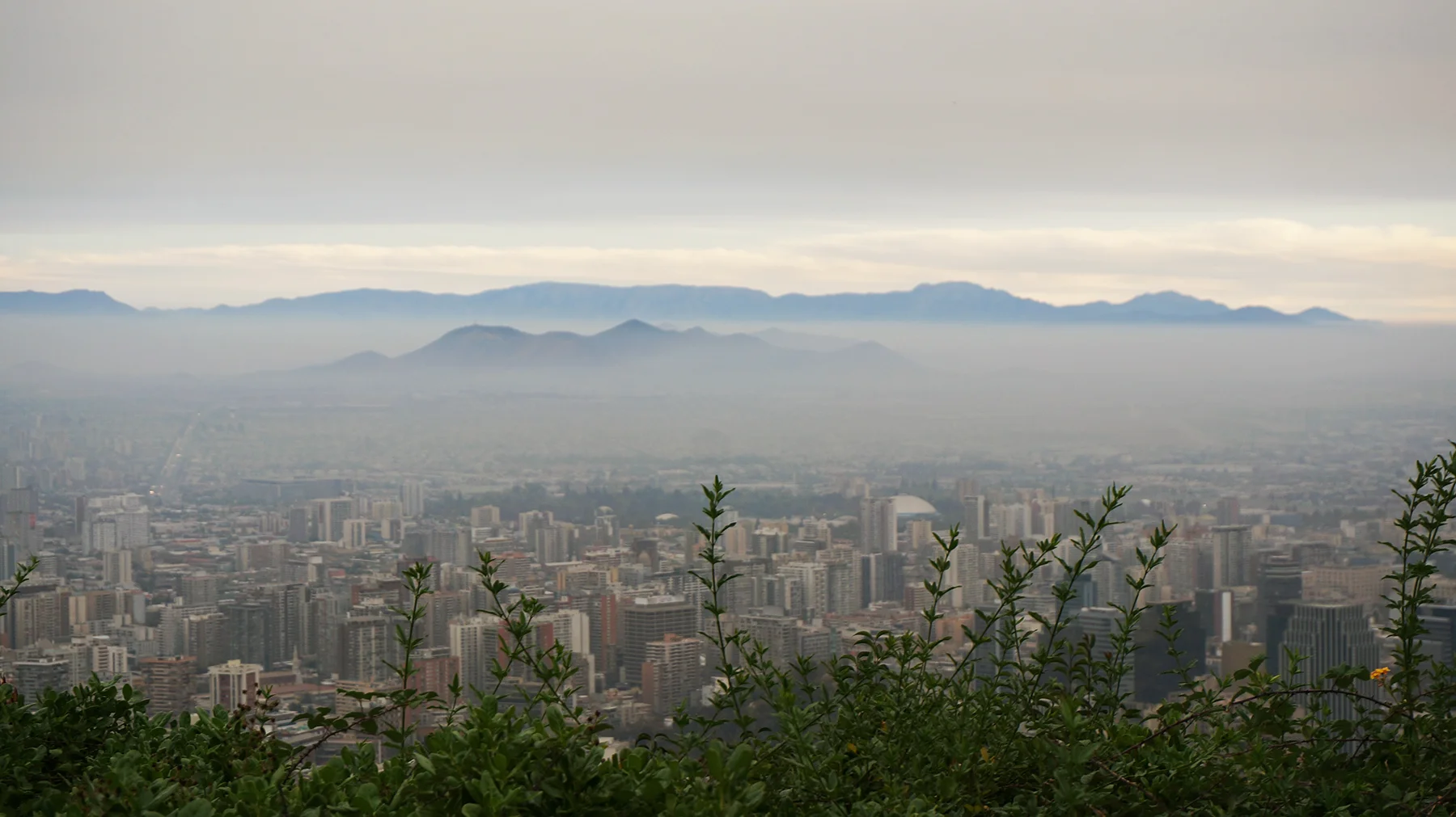 Ape_Bleakney_Chile_DSC03806x.jpg