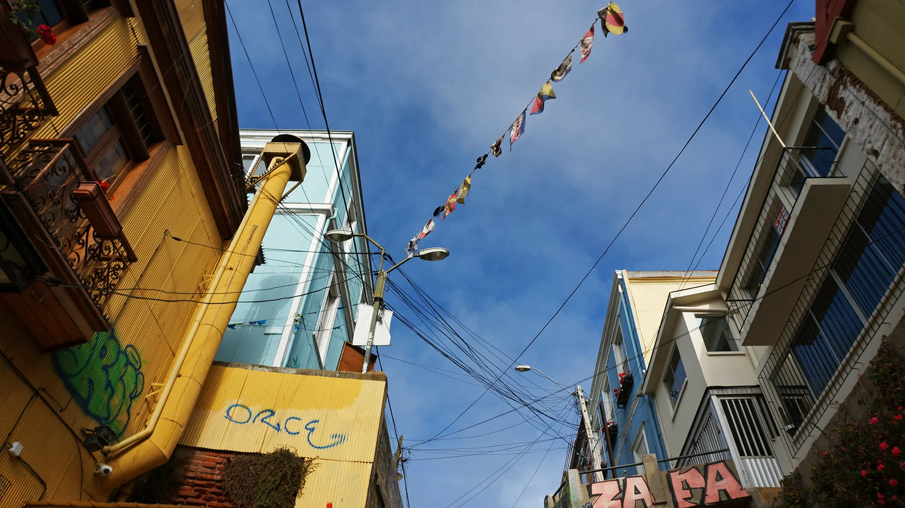 Ape_Bleakney_Chile_DSC04286x.jpg