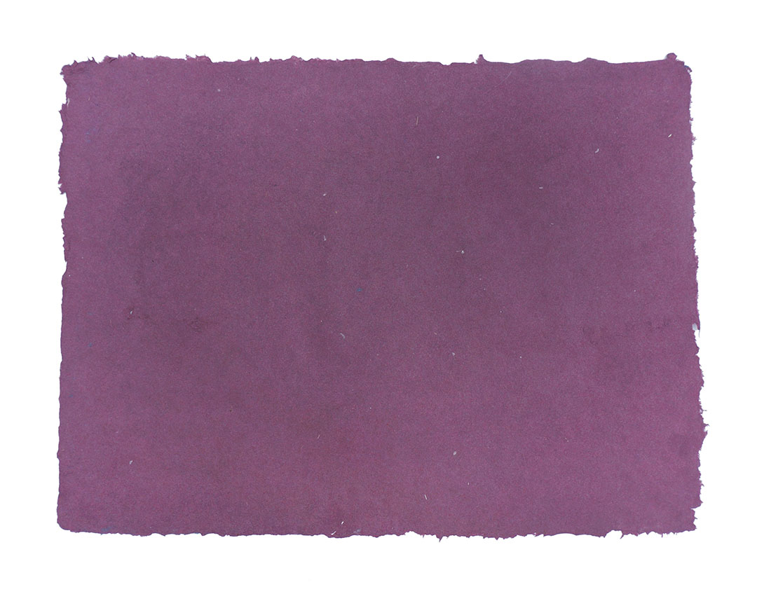 Ape_Bleakney_Morgan_Papermaking_2019_Grandpa Flannel Paper 1Bx.jpg