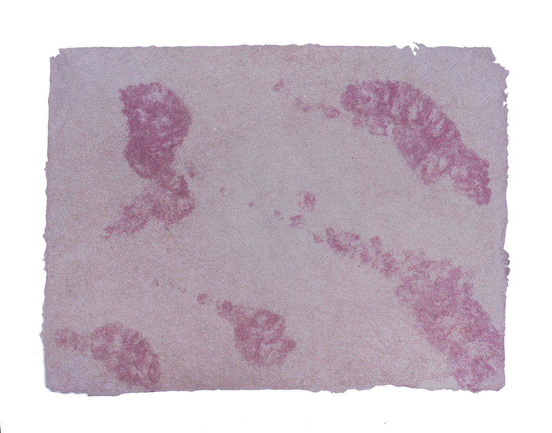 Ape_Bleakney_Morgan_Papermaking_2019_Grandpa Flannel Paper 12Ax.jpg