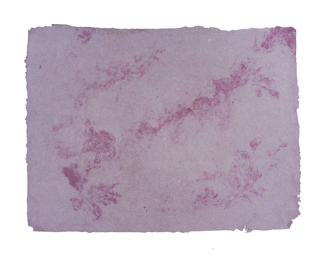 Ape_Bleakney_Morgan_Papermaking_2019_Grandpa Flannel Paper 12Bx.jpg