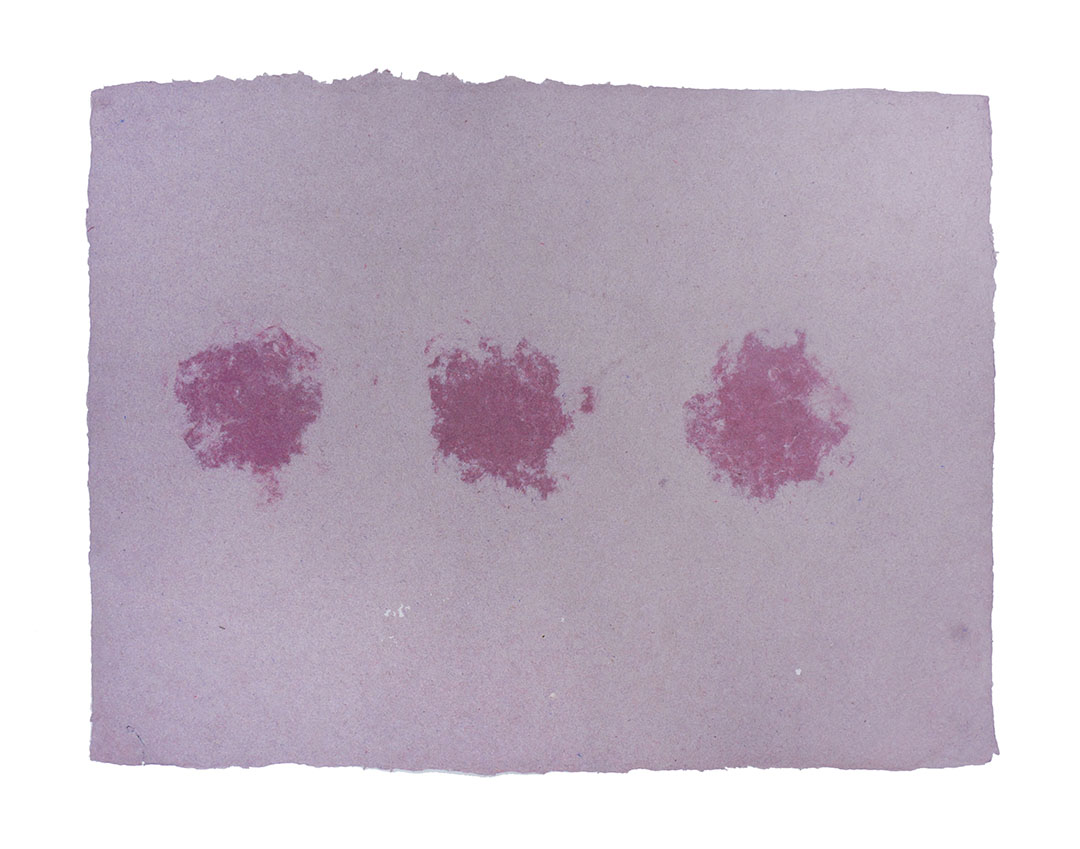 Ape_Bleakney_Morgan_Papermaking_2019_Grandpa Flannel Paper 20Ax.jpg