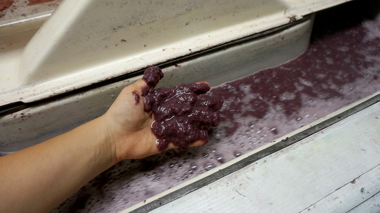 Ape_Bleakney_Morgan_Papermaking_DSC07806.jpg