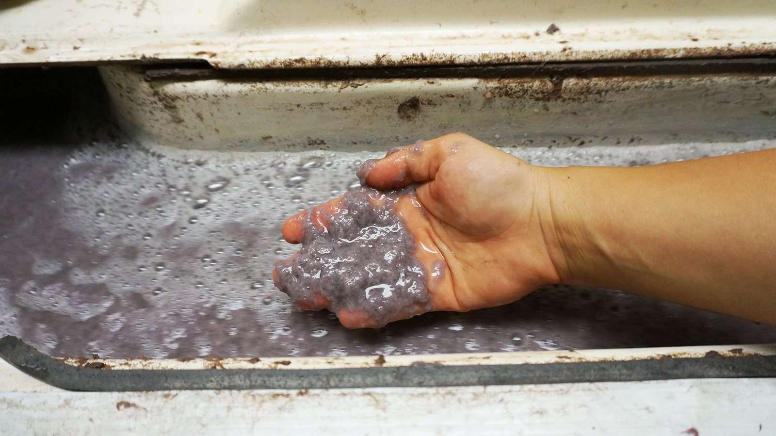Ape_Bleakney_Morgan_Papermaking_DSC07842.jpg