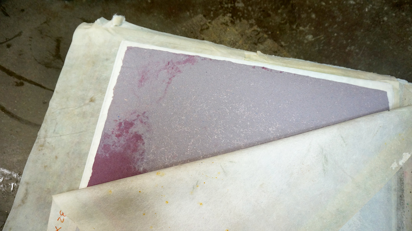 Ape_Bleakney_Morgan_Papermaking_DSC07864.jpg