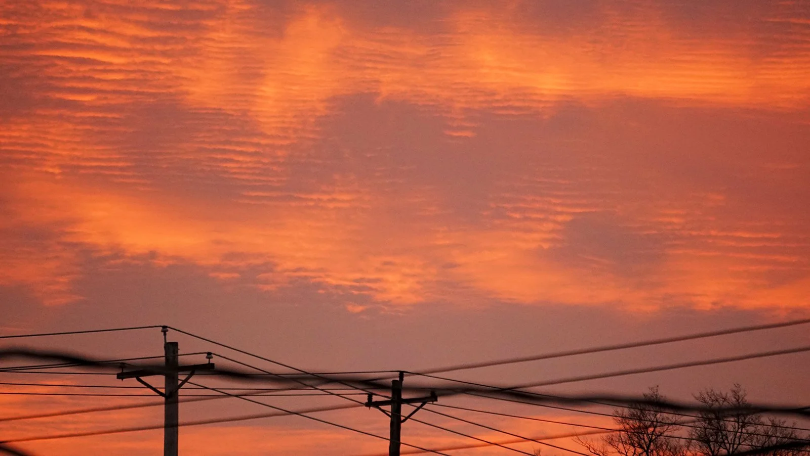 Ape_Bleakney_Lake_Erie_DSC04633 2.JPG