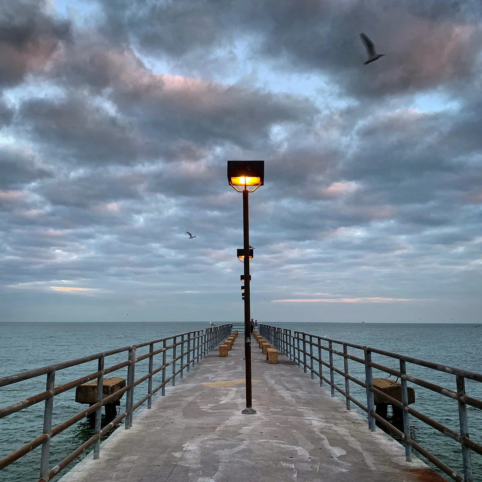 Ape_Bleakney_Lake_Erie_BNTQ7984x.JPG
