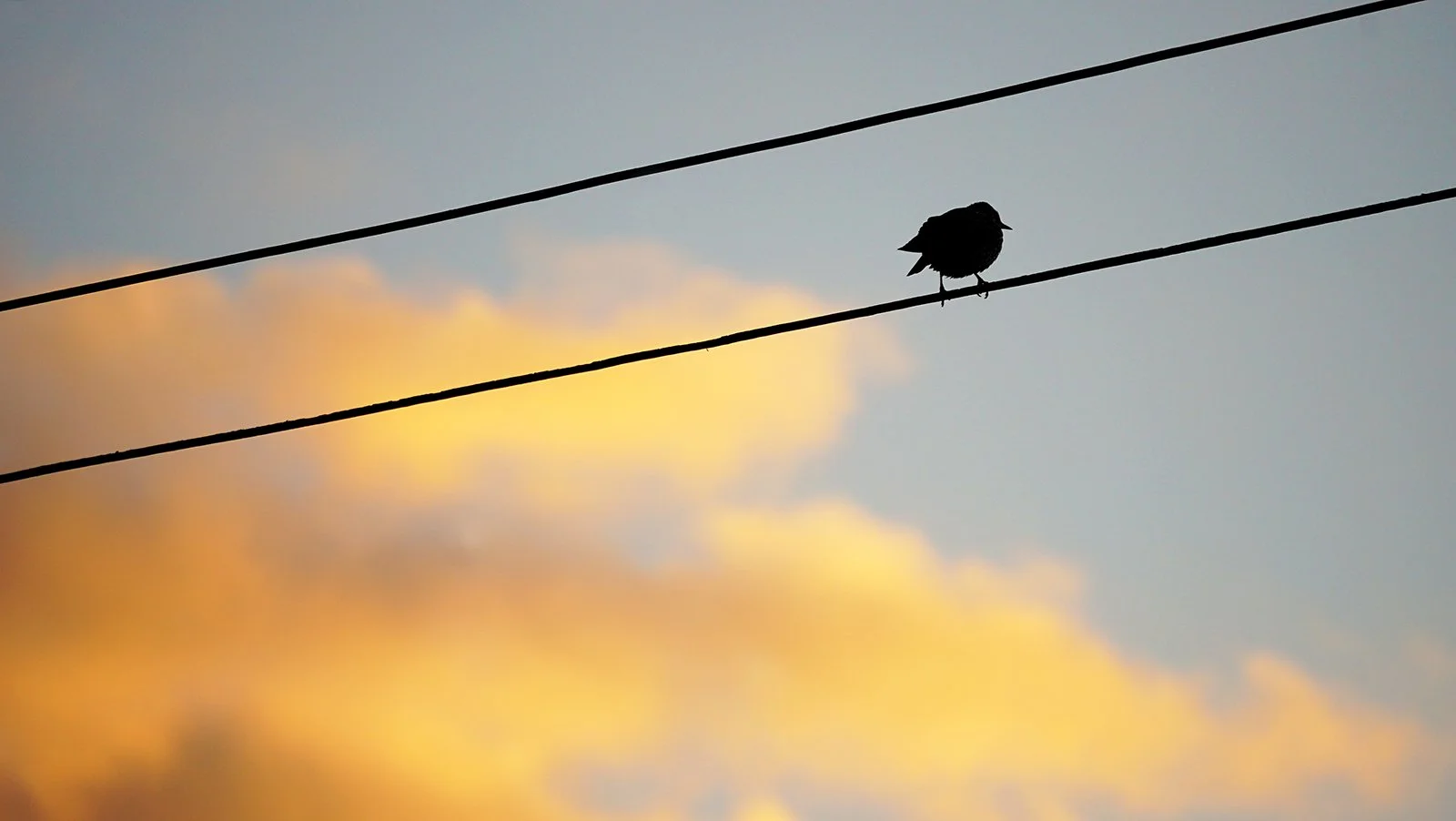 Ape_Bleakney_Lake_Erie_DSC03892 2.JPG