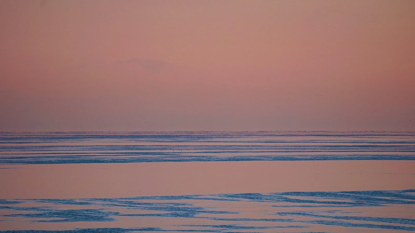 Ape_Bleakney_Lake_Erie_DSC04455.JPG
