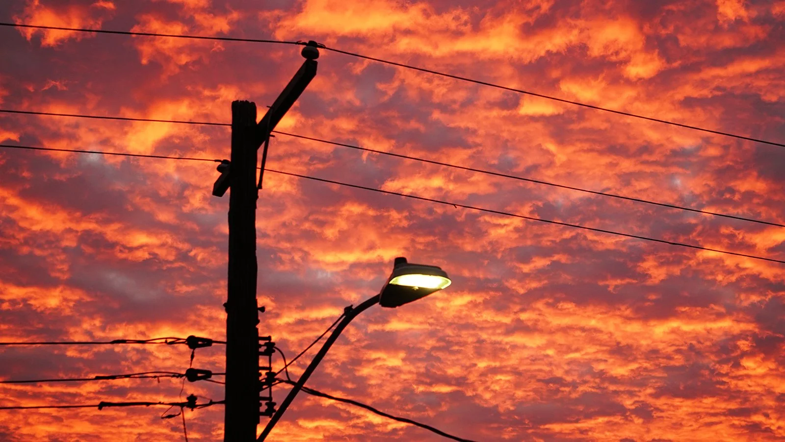 Ape_Bleakney_Lake_Erie_DSC03905 2.JPG