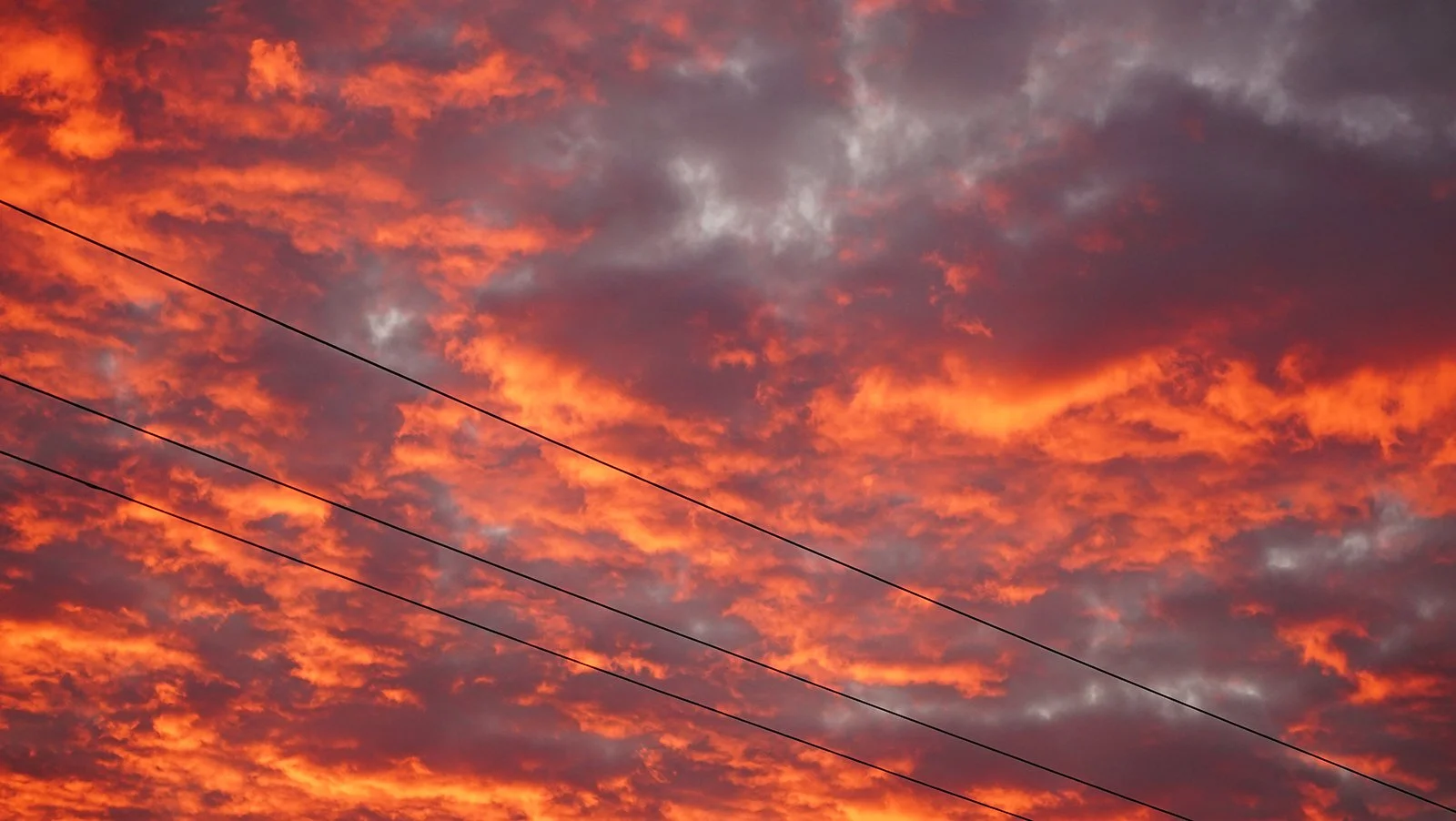 Ape_Bleakney_Lake_Erie_DSC03903 2.JPG