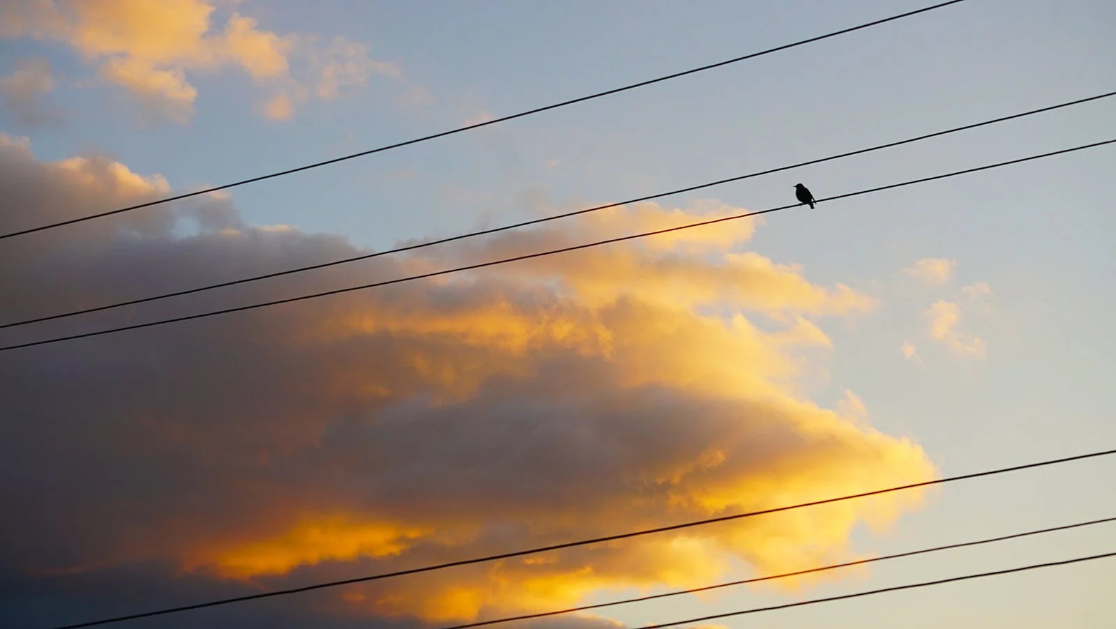 Ape_Bleakney_Lake_Erie_DSC03891 2.JPG