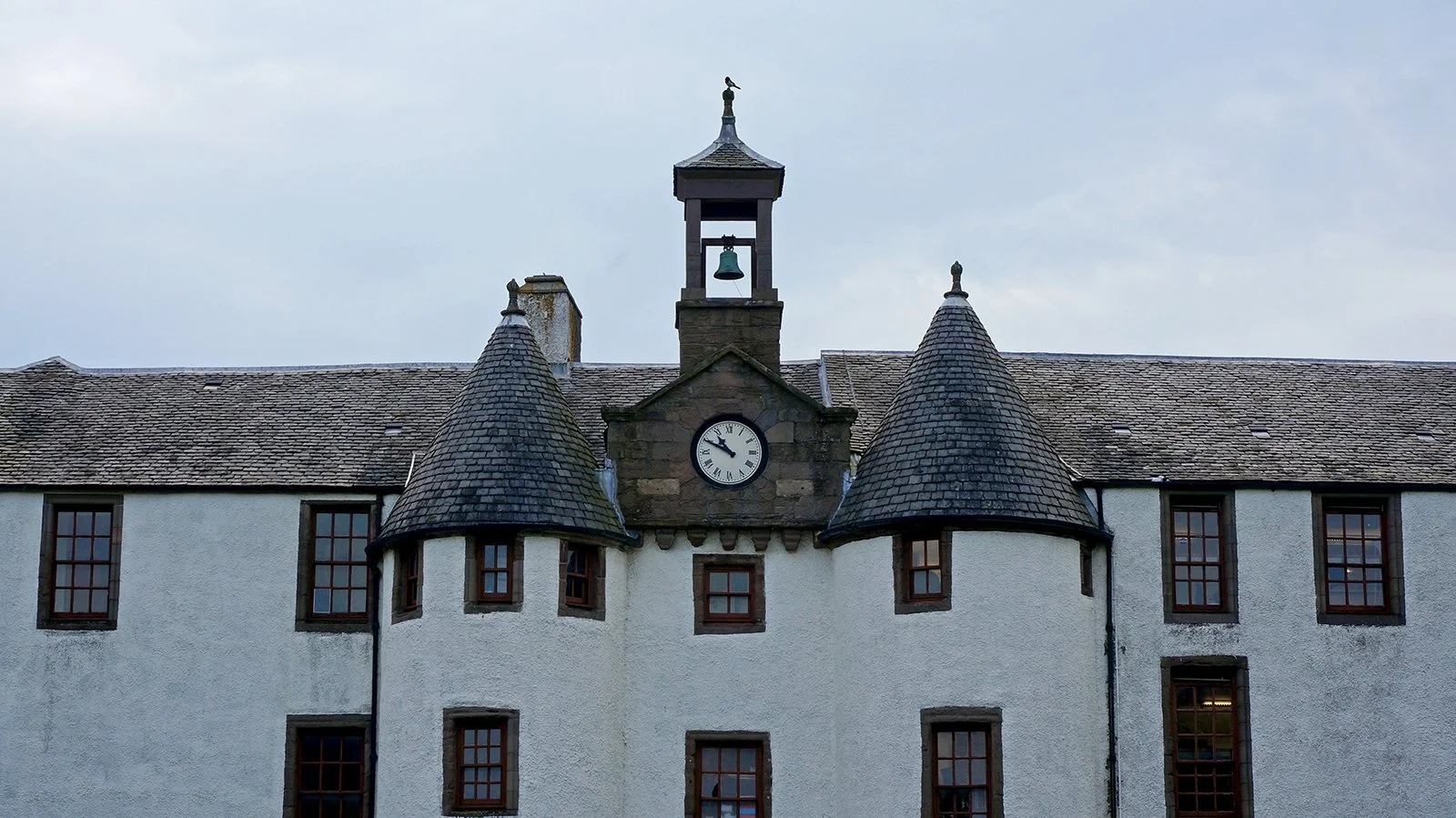Ape_Bleakney_Scotland_DSC04456.JPG