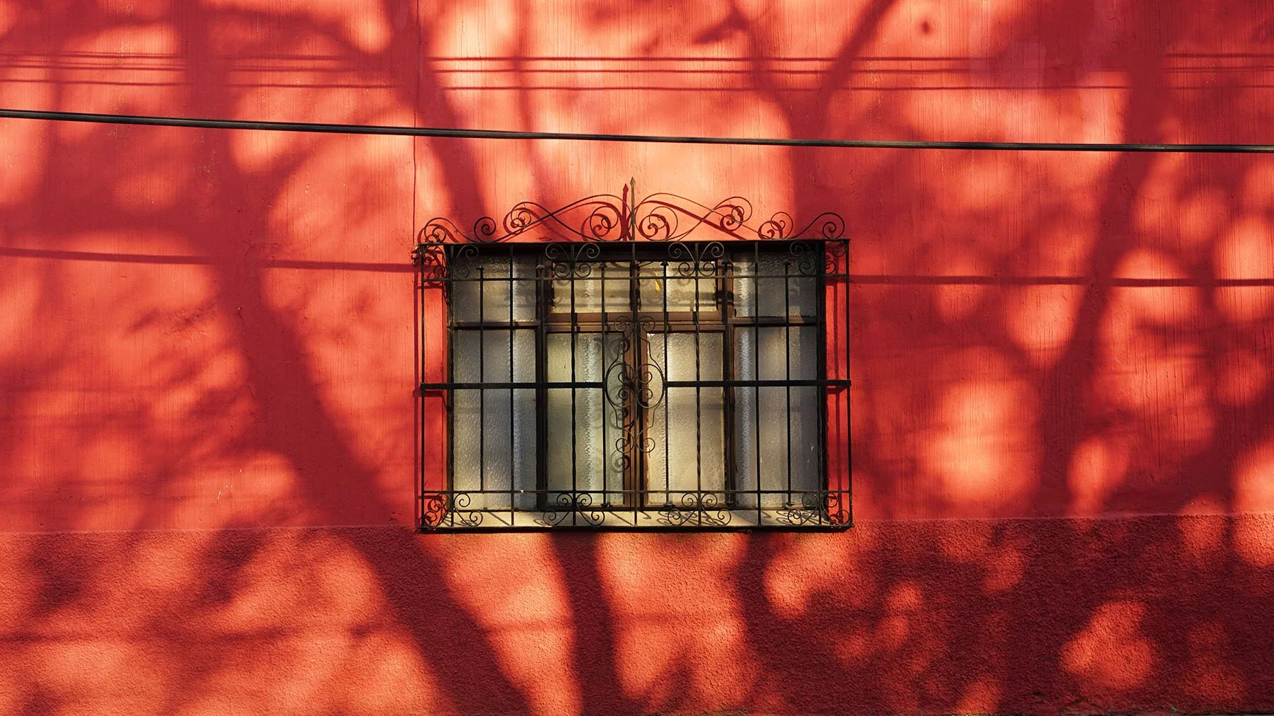 Ape_Bleakney_Oaxaca_DSC00602.JPG