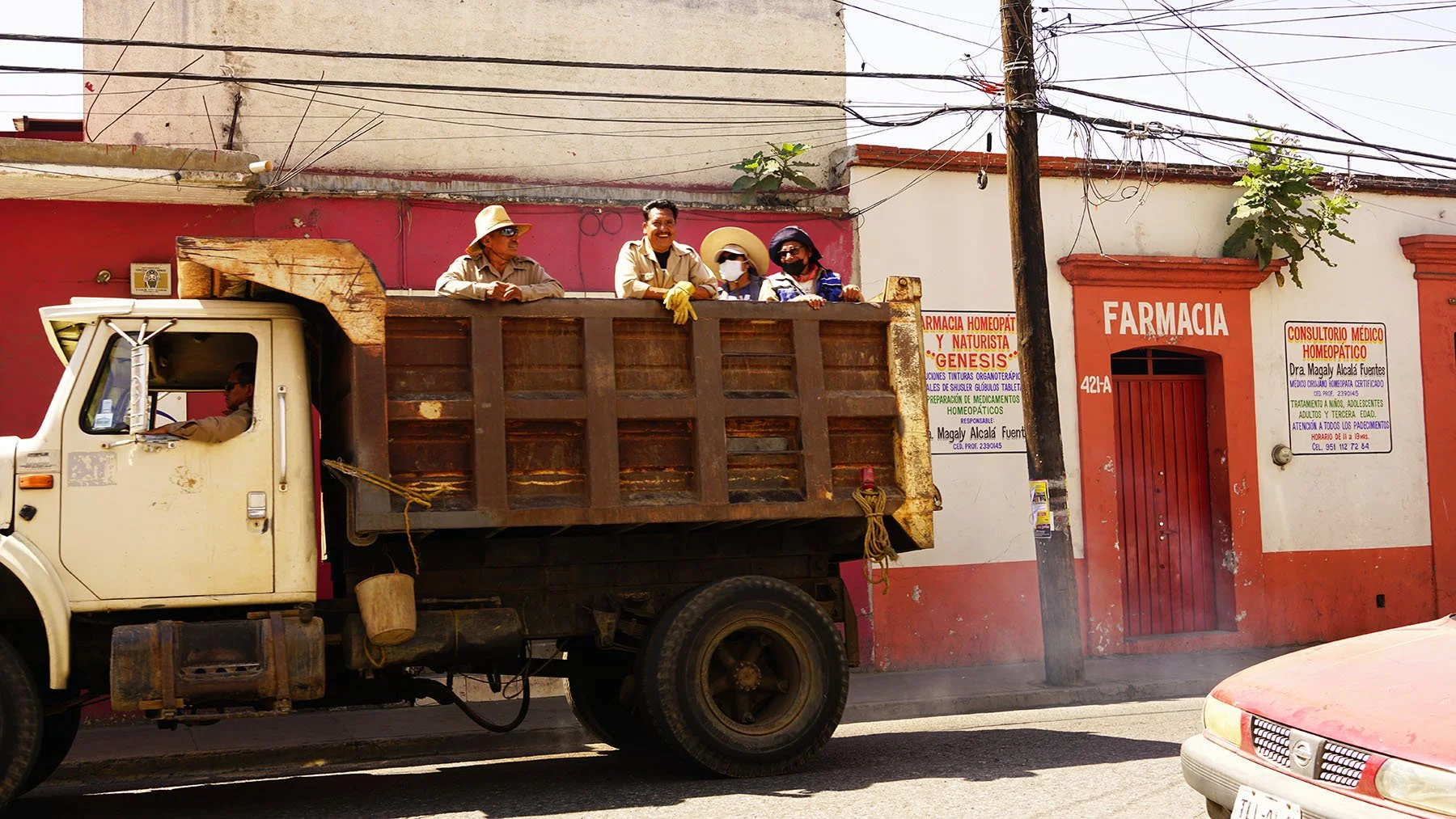 Ape_Bleakney_Oaxaca_DSC00832x.JPG