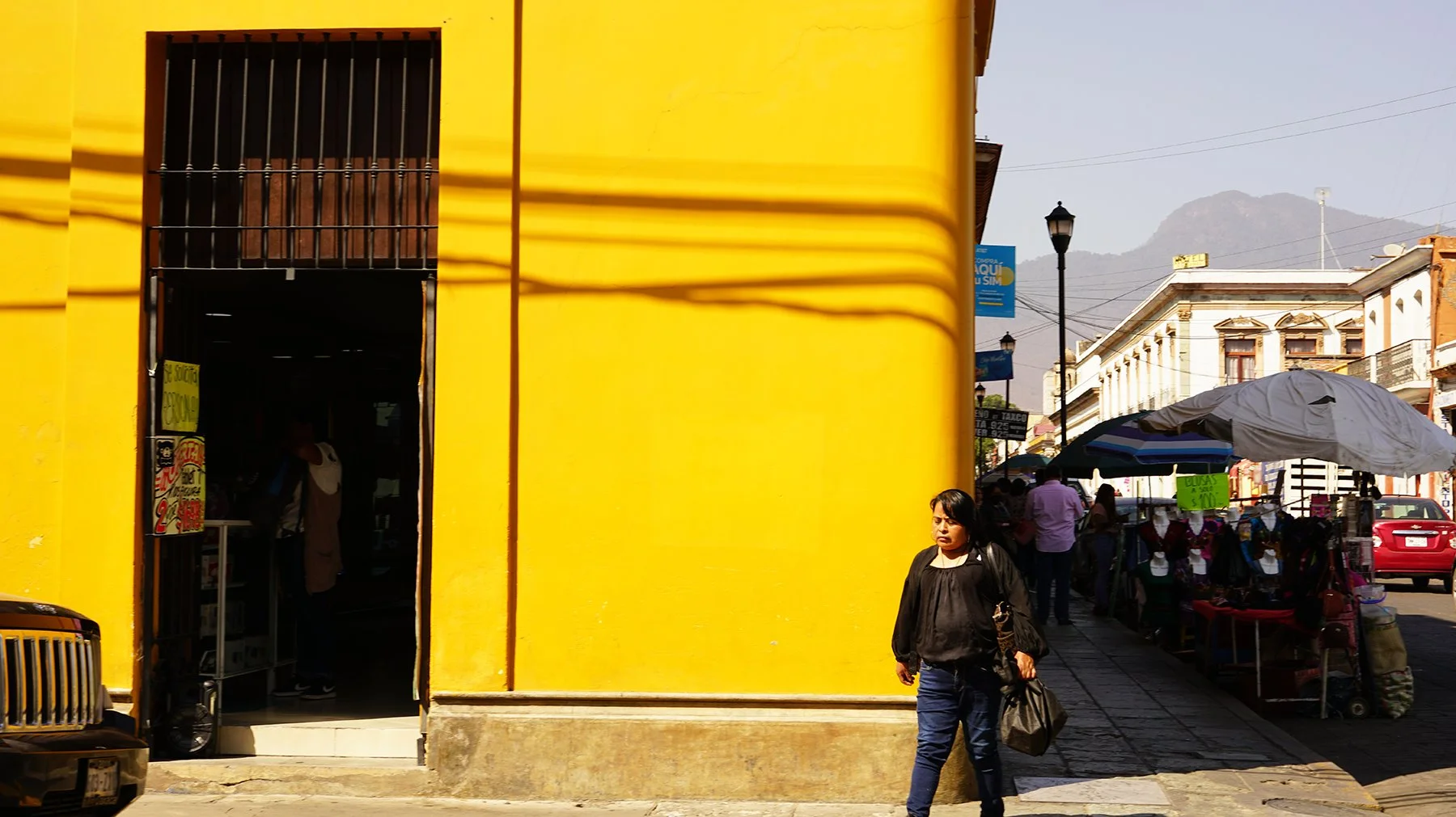 Ape_Bleakney_Oaxaca_DSC00970x.JPG