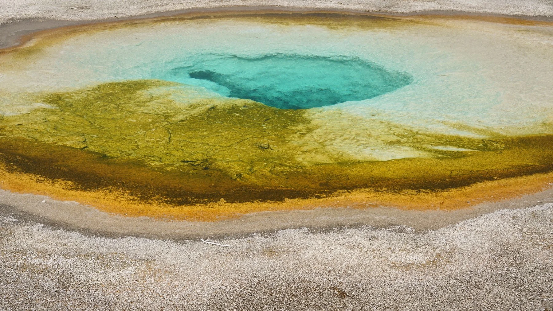   Yellowstone National Park / 2021  