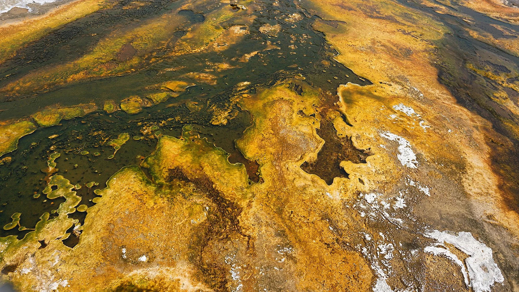   Yellowstone National Park / 2021  