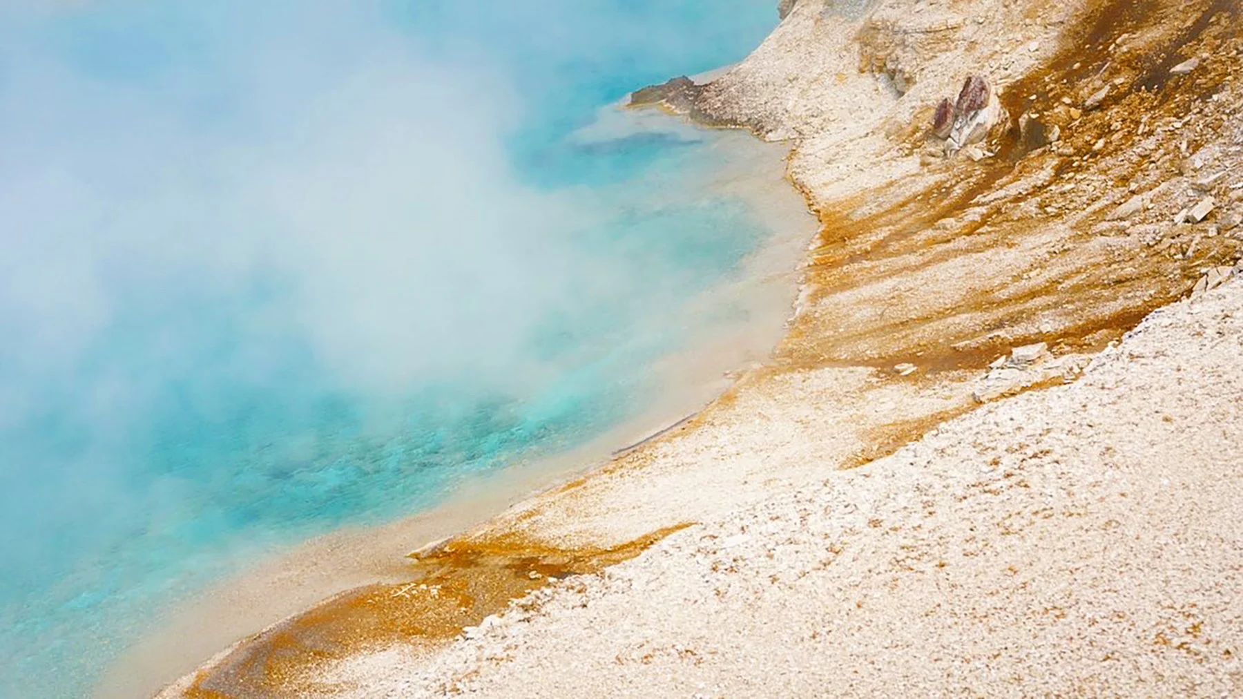   Yellowstone National Park / 2021  