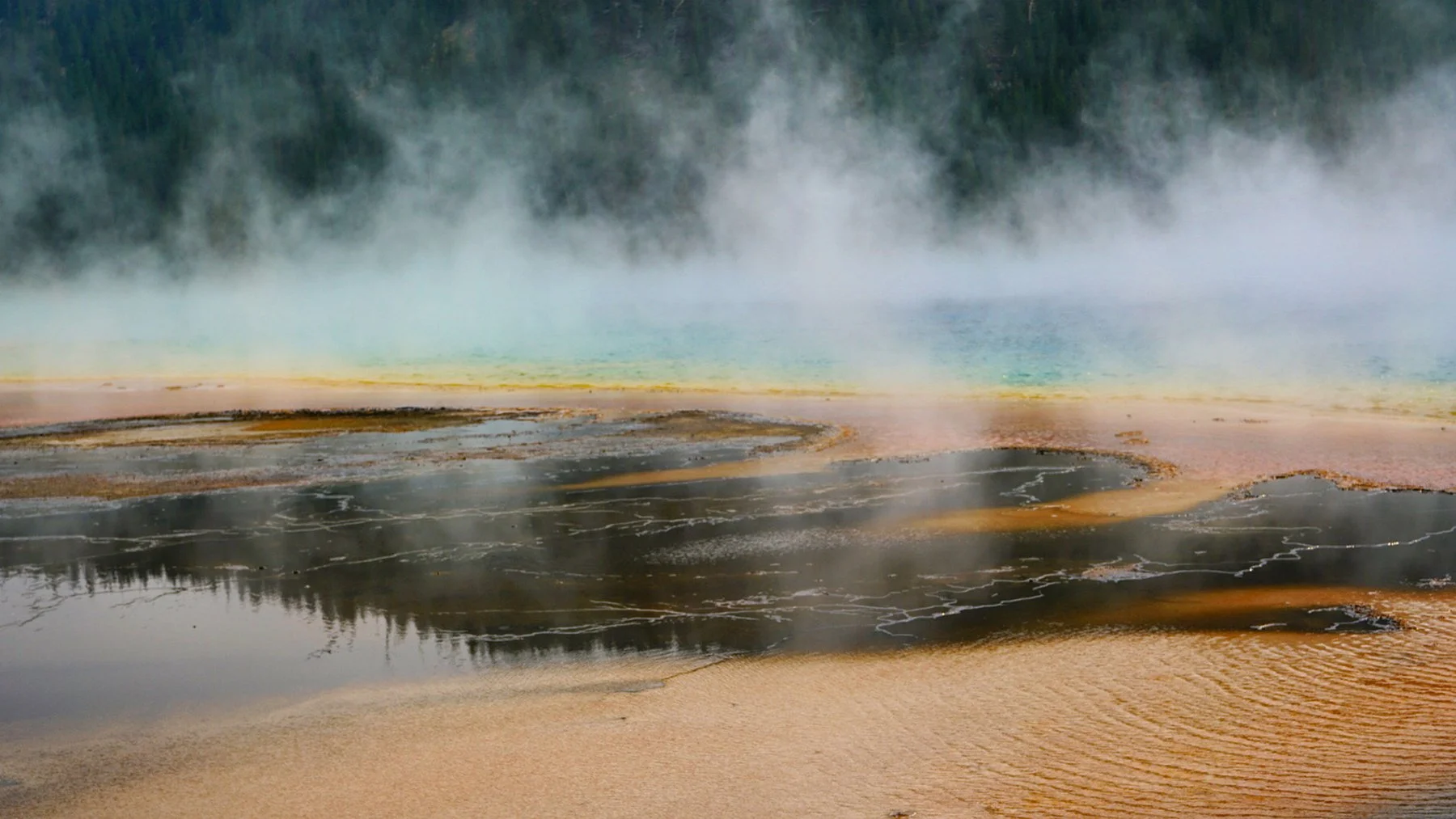   Yellowstone National Park / 2021  