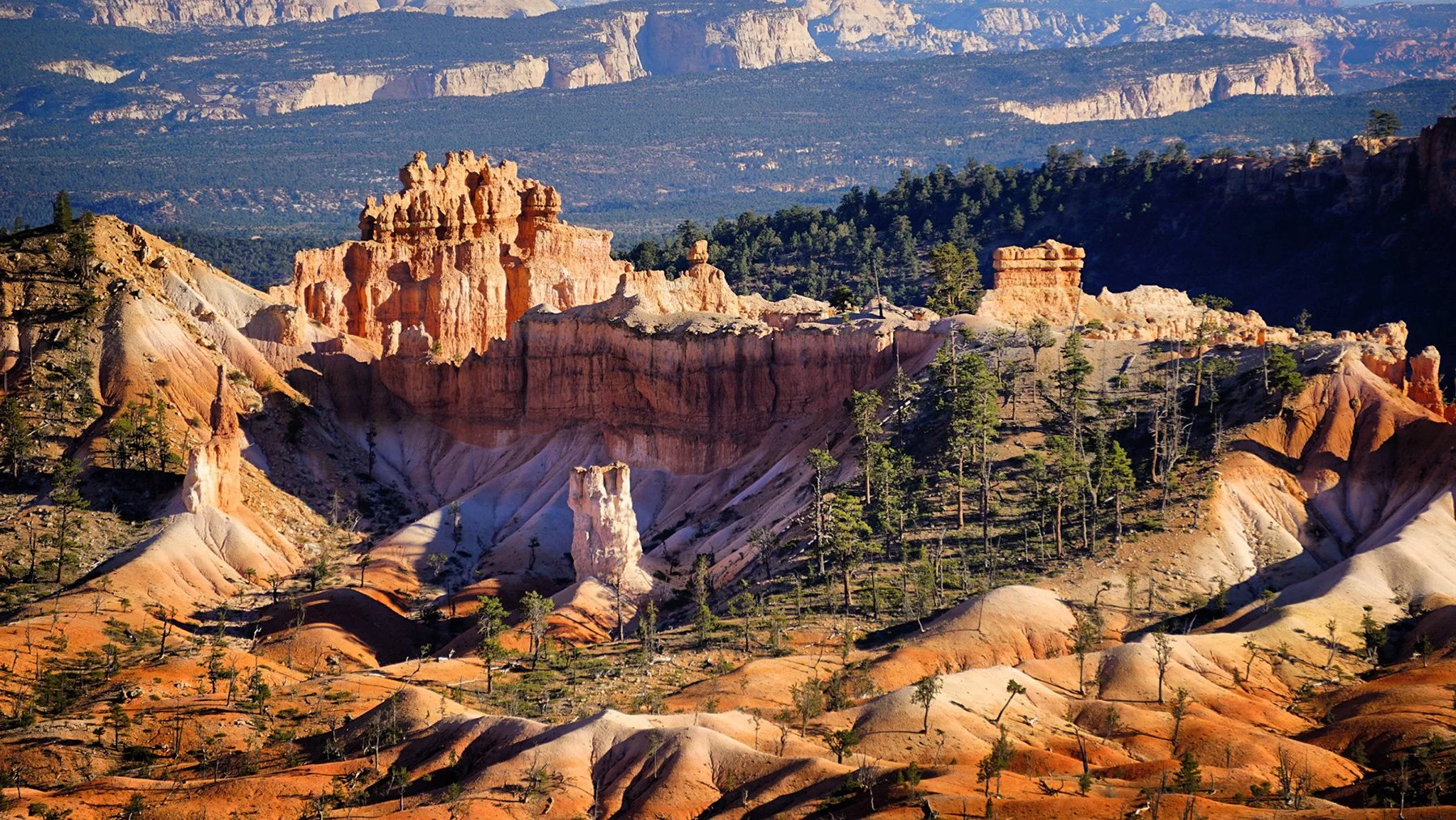   Bryce National Park / 2021  