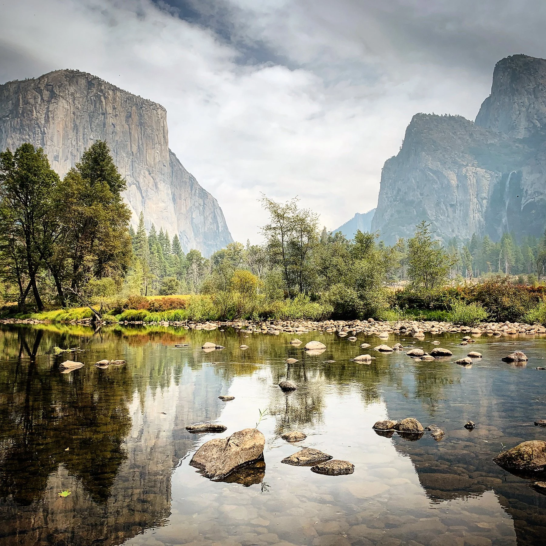   Yosemite National Park / 2019  
