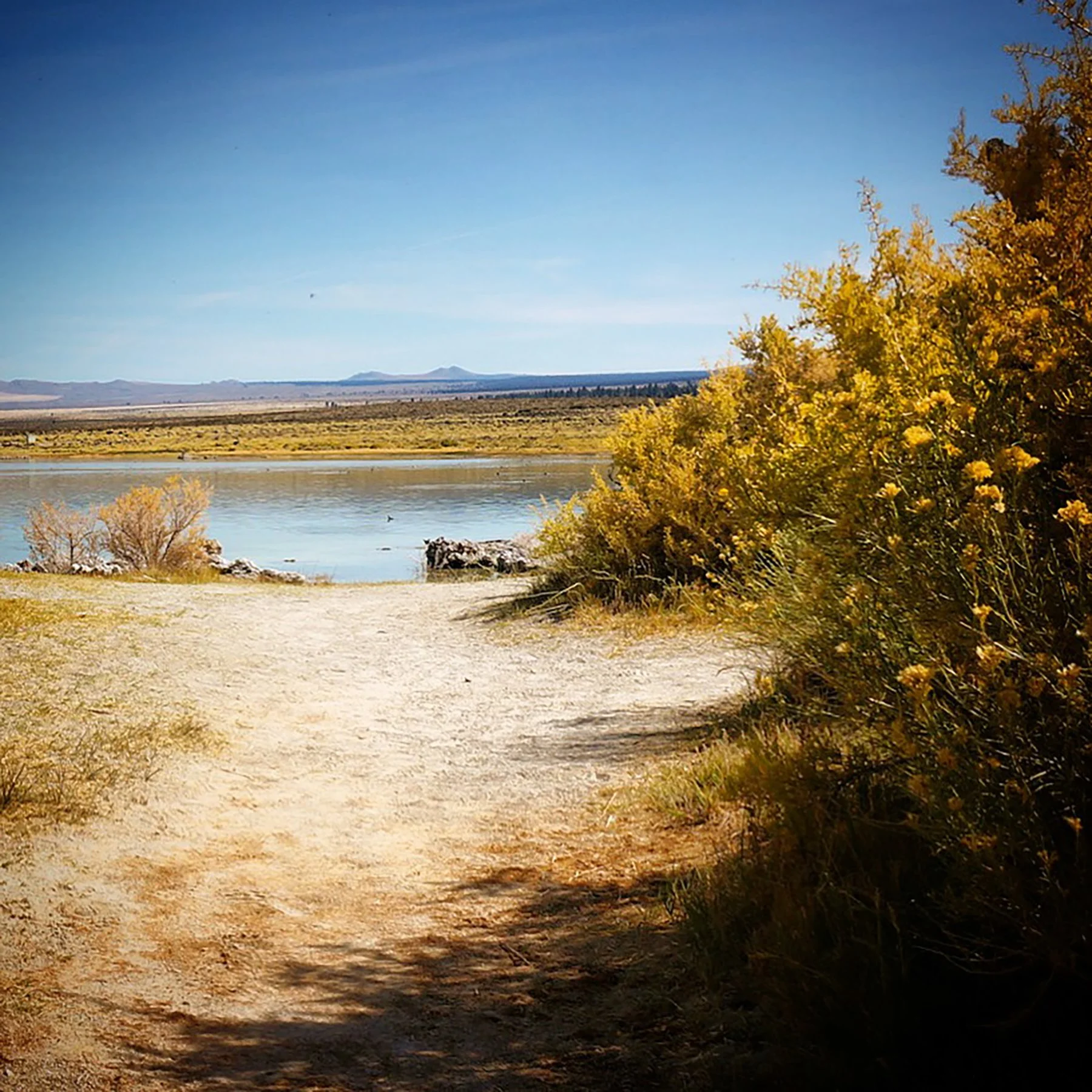   Mono Lake, CA / 2019  