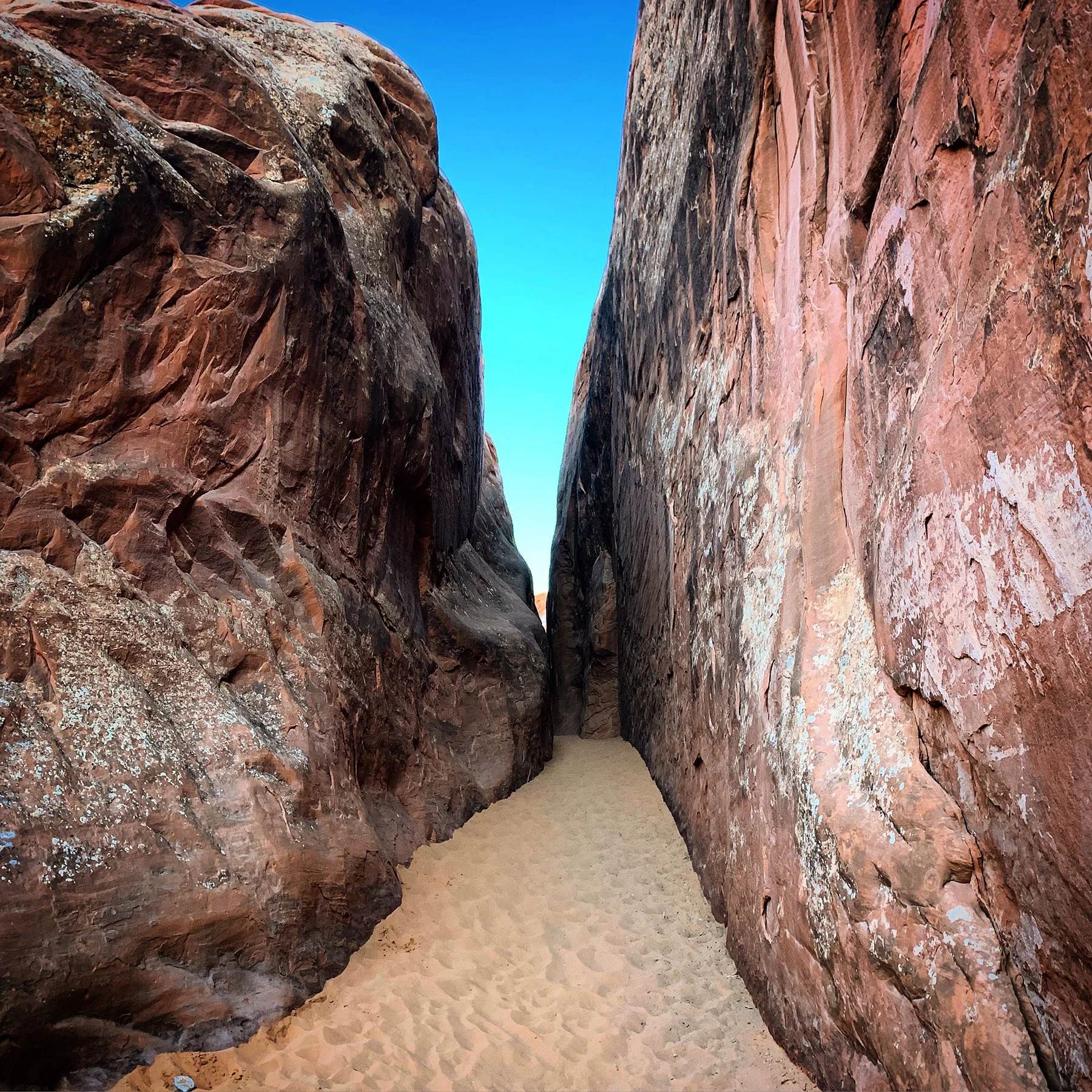   Arches National Park / 2019  