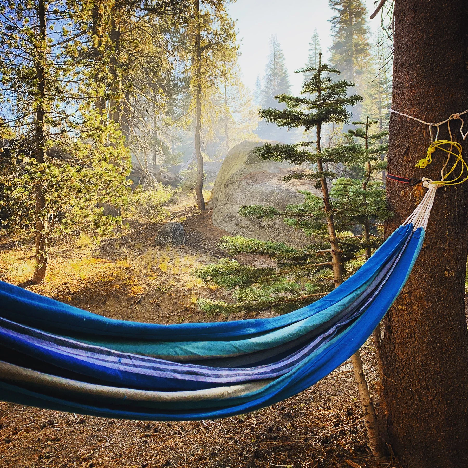  Yosemite National Park / 2019  