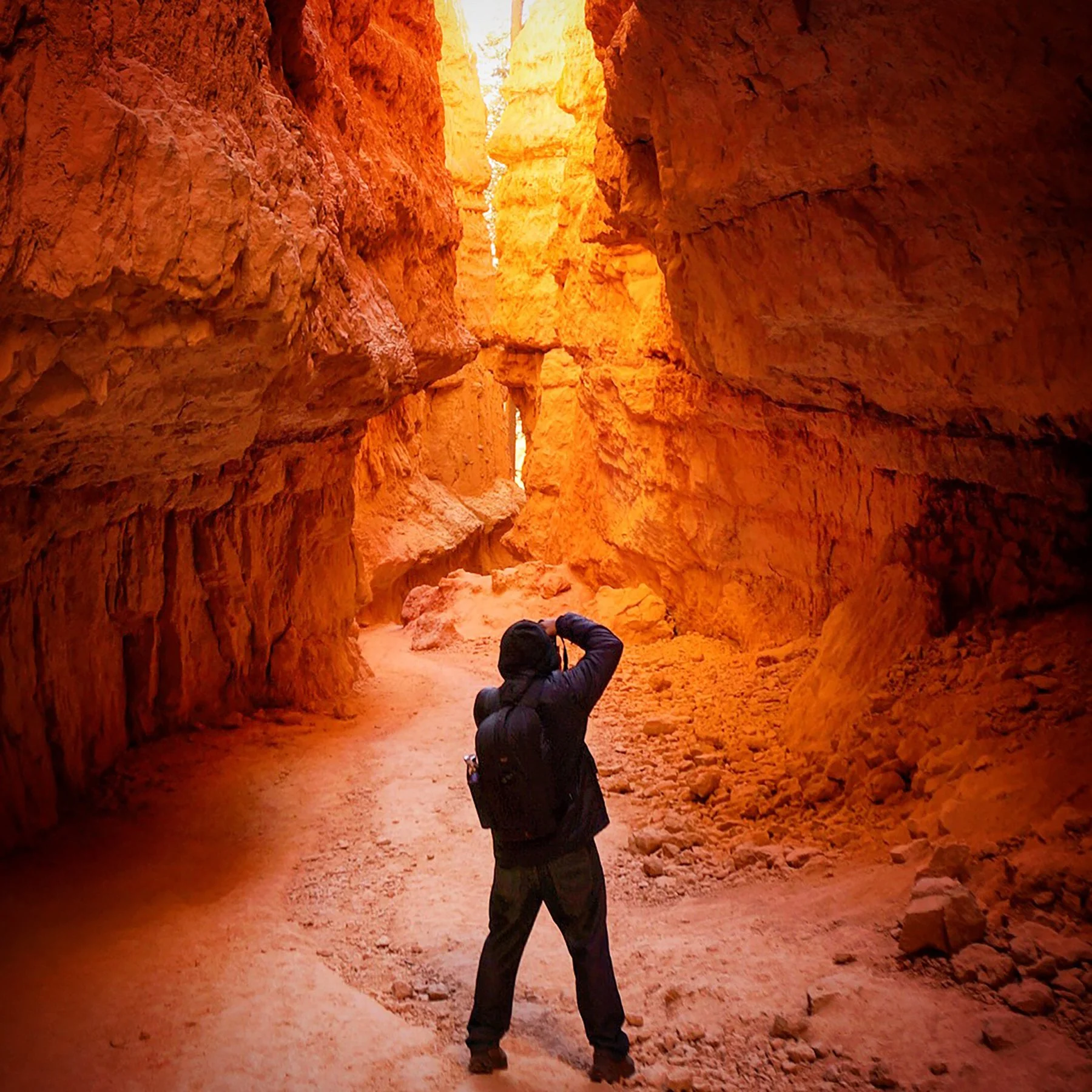   Bryce National Park / 2019  