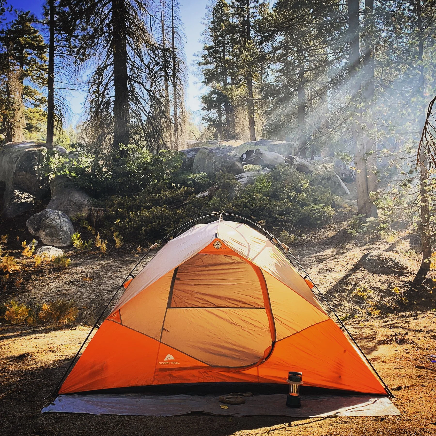   Yosemite National Park / 2019  